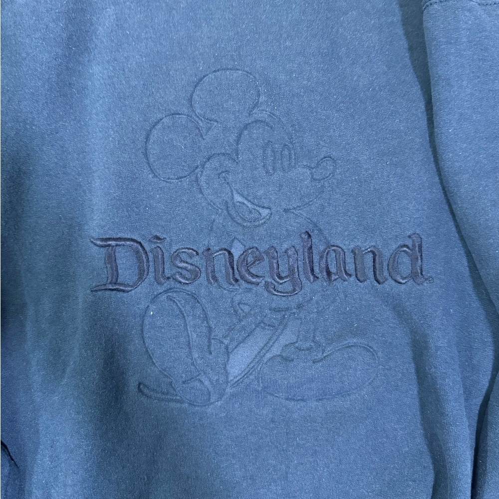 🟠🟠Disneyland Resort Sweatshirt